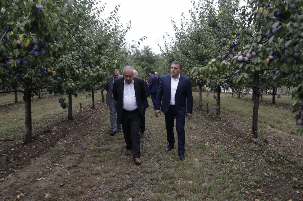 Ministar Dedić obišao plantažu šljiva i farmu „Agro Mašić“ u Gradačcu