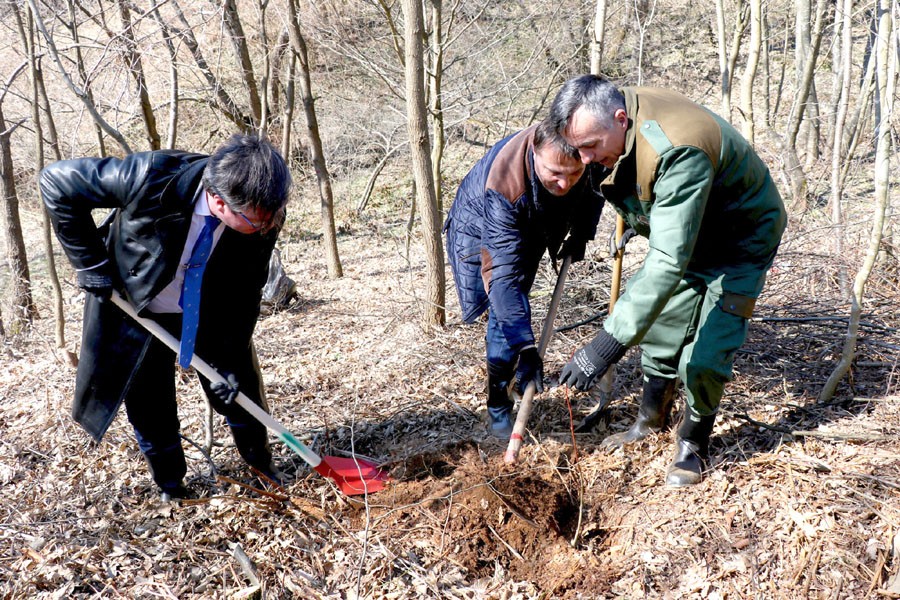 Ministar Dedić i ambasador Sedar akcijom pošumljavanja obilježili Dan šuma