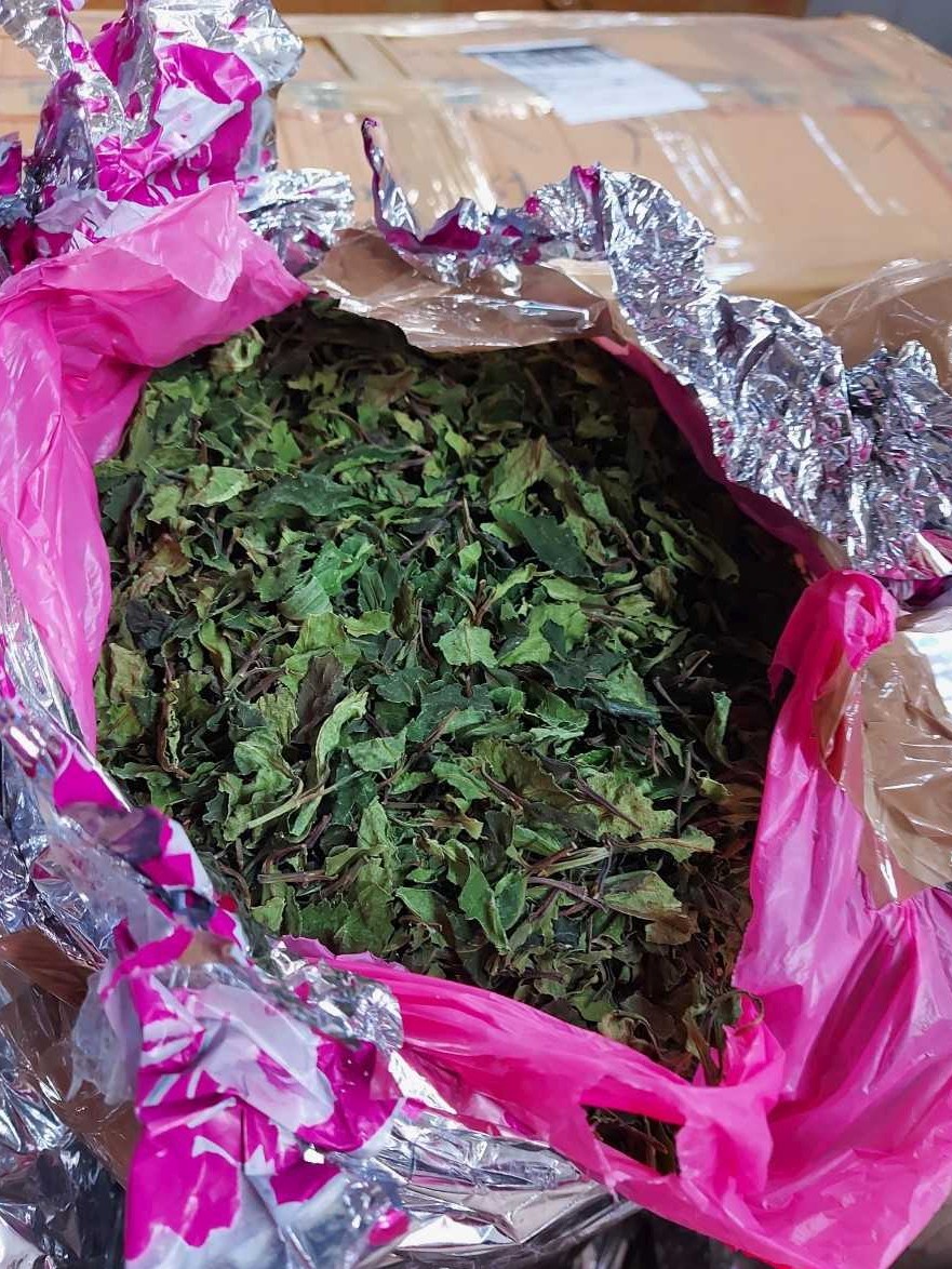 FUZIP: Zabranjen uvoz pošiljke od 296 kg biljke moringe